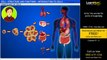 Cell - Structure and Functions - Introduction to Cells - Science - Class 8