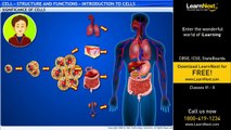 Cell - Structure and Functions - Introduction to Cells - Science - Class 8