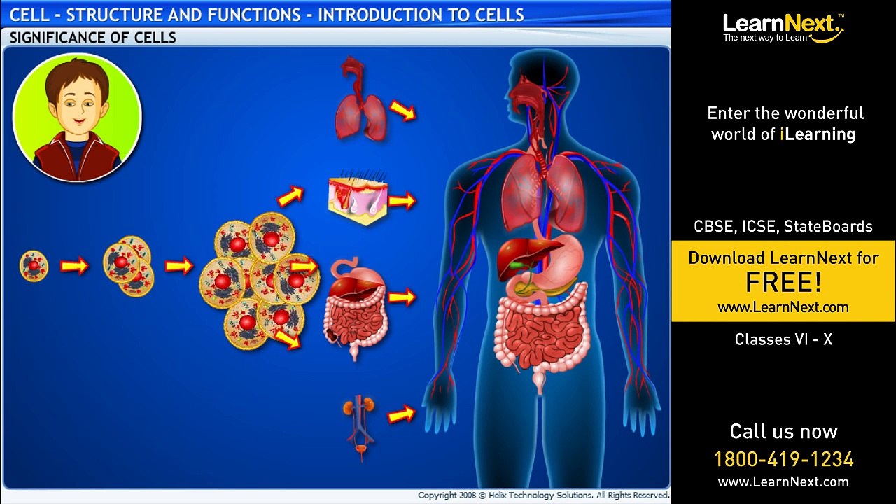 Cell - Structure and Functions - Introduction to Cells - Science - Class 8