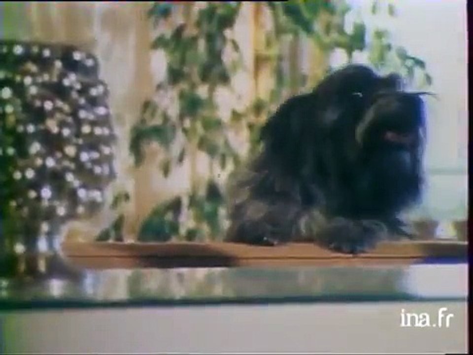 Jacqueline Maillan et son Jules - Archive vidéo INA - 30 Millions d'Amis