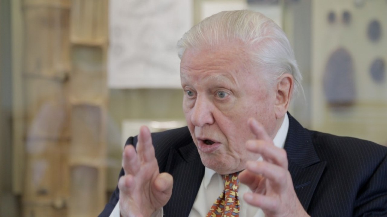 David Attenborough on religion and evolution coexisting