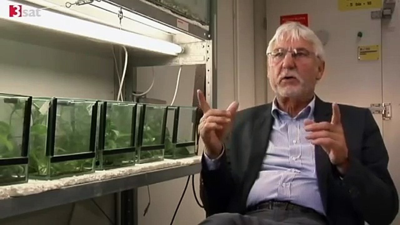 Täter ohne Reue 3Sat Menschen ohne Mitgefühl - DokuCut