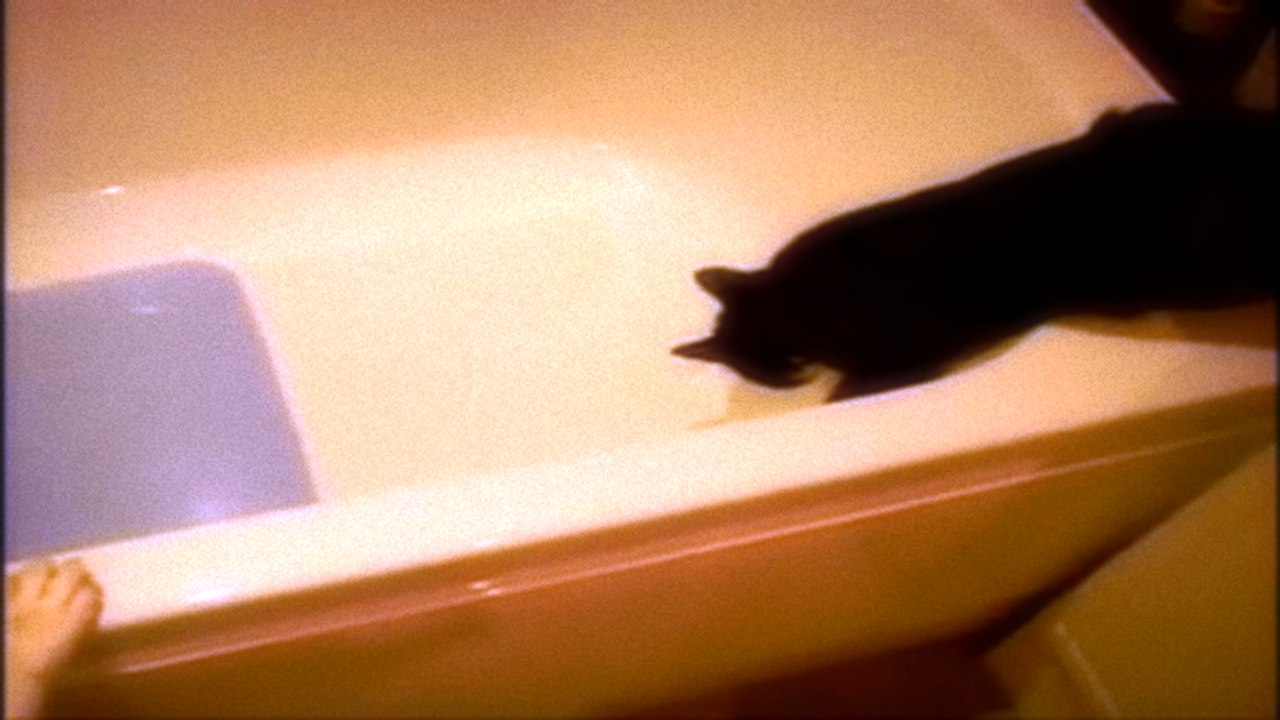 L'eau est elle assez chaude?  Pousses le chat dedans, pour vérifier LOL