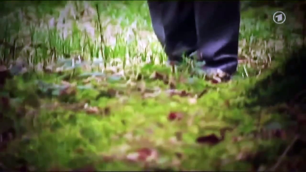 Benjamin von Stuckrad-Barre - 'Auch Deutsche unter den Opfern' - Druckfrisch