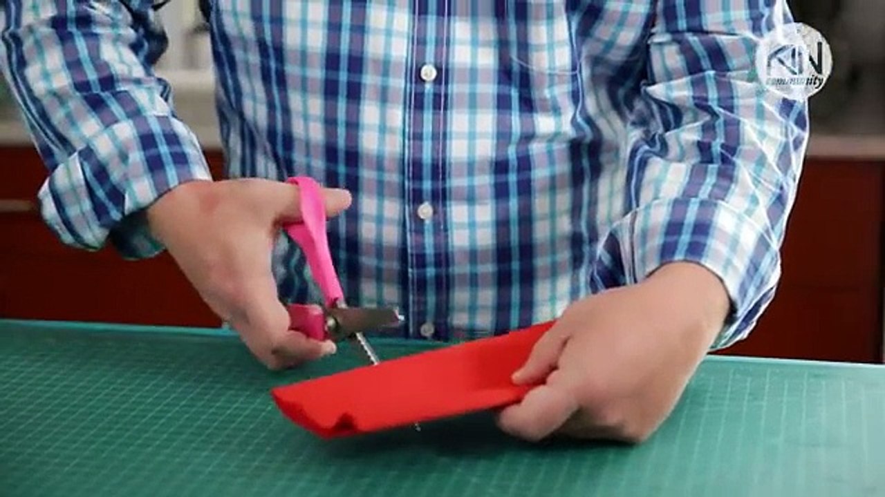 Robert's Crepe Paper Carnations