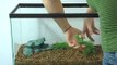 How To Set Up A Freshwater Aquarium