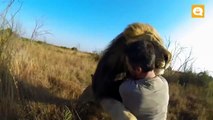 El conmovedor encuentro del 'encantador de leones' con sus mejores amigos