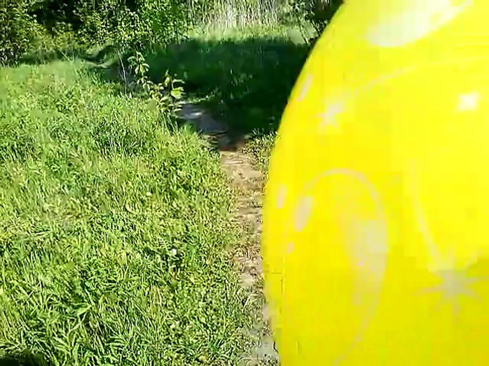 Balloon