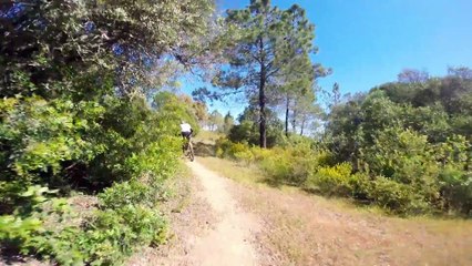 Single Tracks Porches