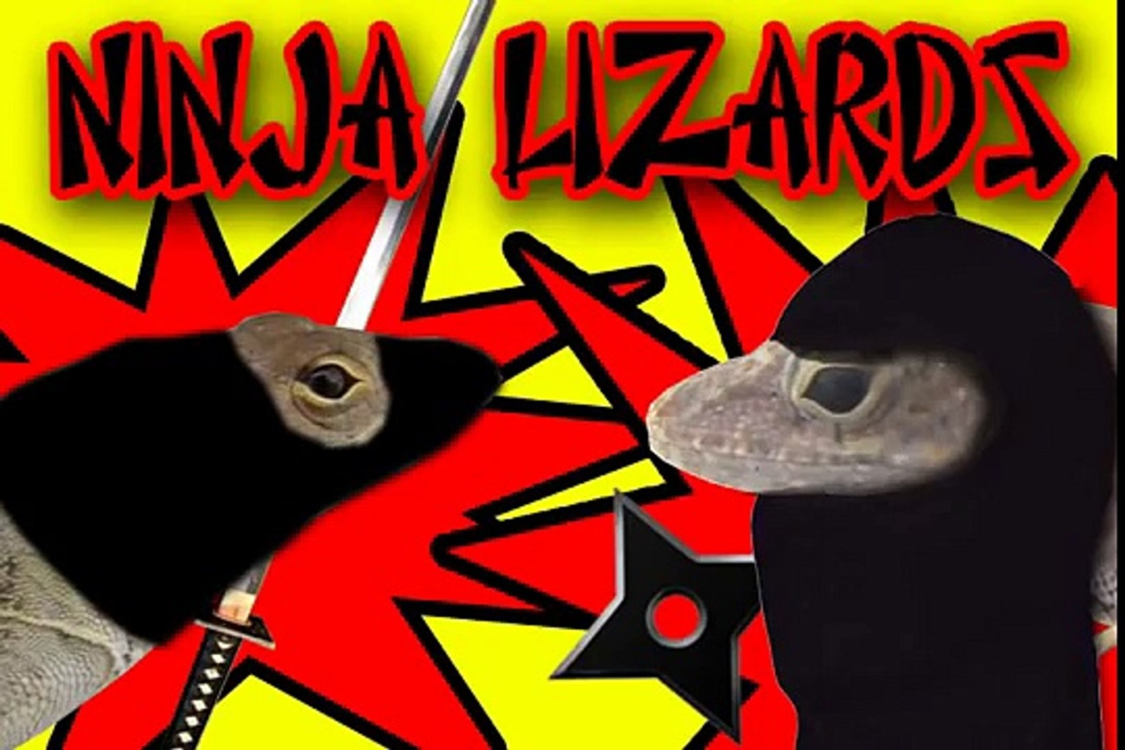 ⁣Ninja Lizards!