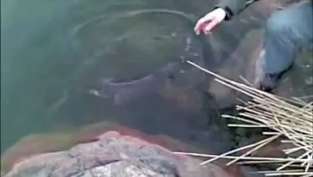 Pike fishing in Finland/Big pike on light tackle.