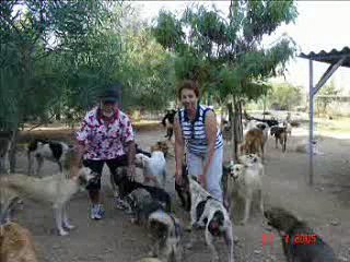 ADANA DOHAYKO HAYVAN BARINAĞI