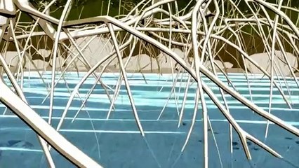 Forests - Nature at your service - David Attenborough