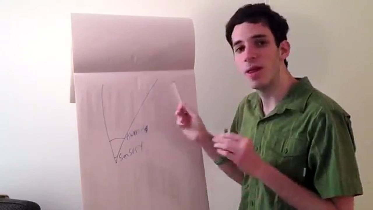 The Aspergers "Sensory Funnel"