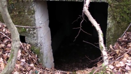 La découverte d'un bunker Allemand en foret !!!