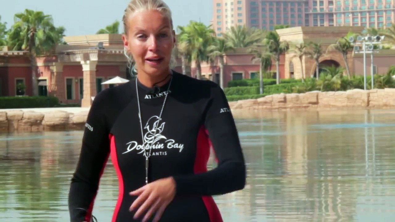 Diving with dolphins at Atlantis in Dubai