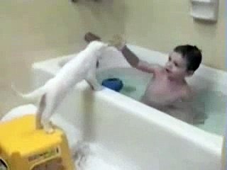 Cat Regrets Entering Bath - Video?syndication=228326