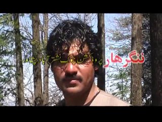 Da Nangarhar Guloona - Pashto New HD Dance Album 2015 Part - 11