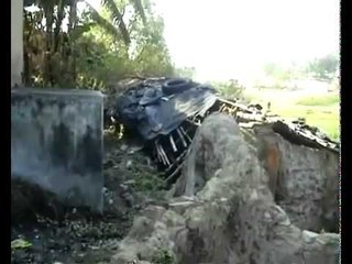 بالفيديو: طفل هندي يرضع من كلبه بسبب الفقر