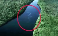 Tüm Dünyayı Şok Eden Dev Yılan Amazon Ormanlarında Uçaktan Böyle Görüntülendi