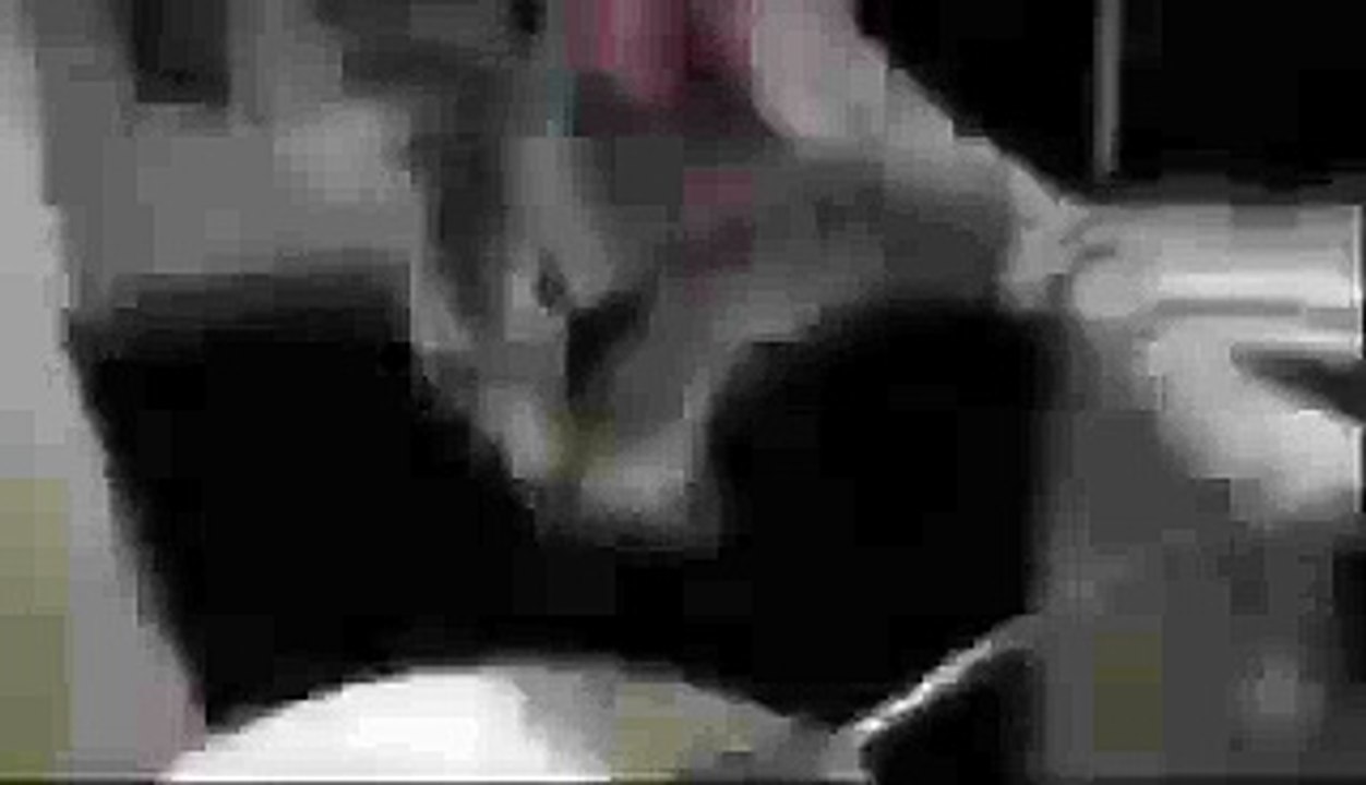 Modern Cat Eating With Spoon