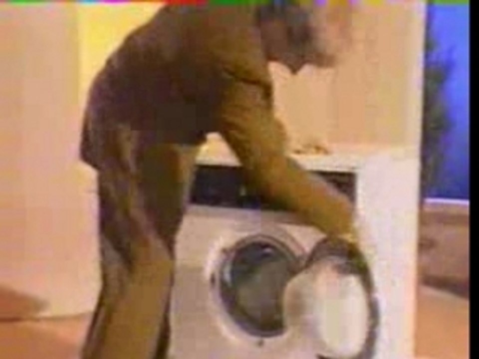 Les Nuls - Comité contre les chats