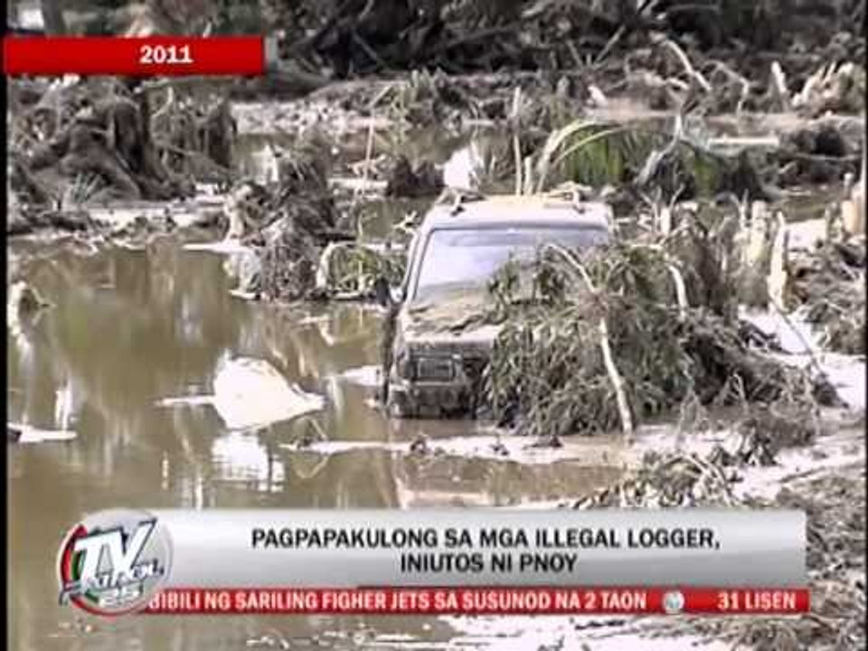 PNoy beefs up drive vs illegal loggers