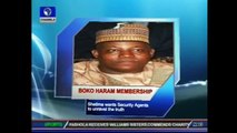 Addressing Boko Haram problem not my responsibility -- Borno governor