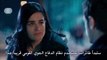 مسلسل وادي الذئاب الموسم 9 الحلقة 59 + 60 مترجمة للعربية بجودة 720p