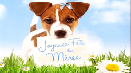 ♥Bonne fête des mères ♥