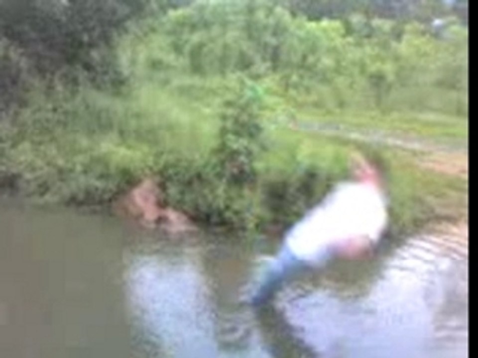 Fox le plongeon la suite