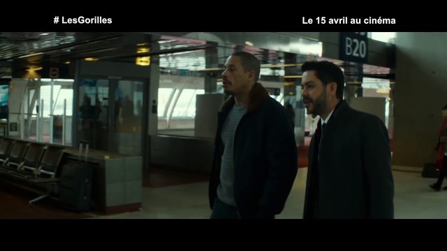 Z avez protégé qui comme gens connus LES GORILLES Extrait 2