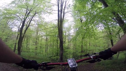 johann descente