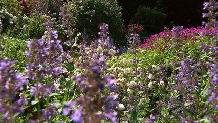 Alan Titchmarsh's Garden Secrets 20th century 2/5