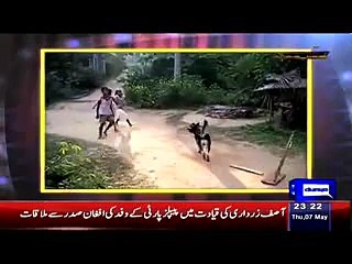 Dog Is Playing Cricket With Children - Amazing Video