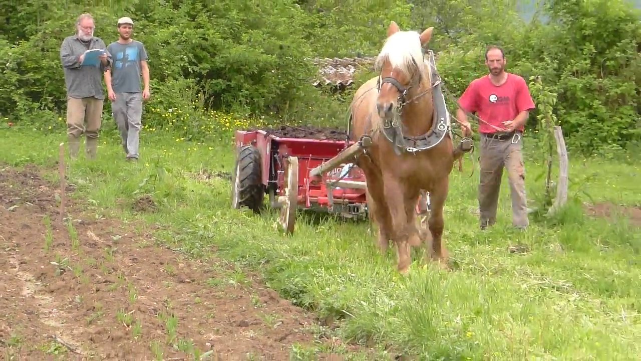 Mesure d'efforts en traction animale (épandage de fumier)
