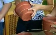 Como fazer uma horta de ervas aromáticas em vasos