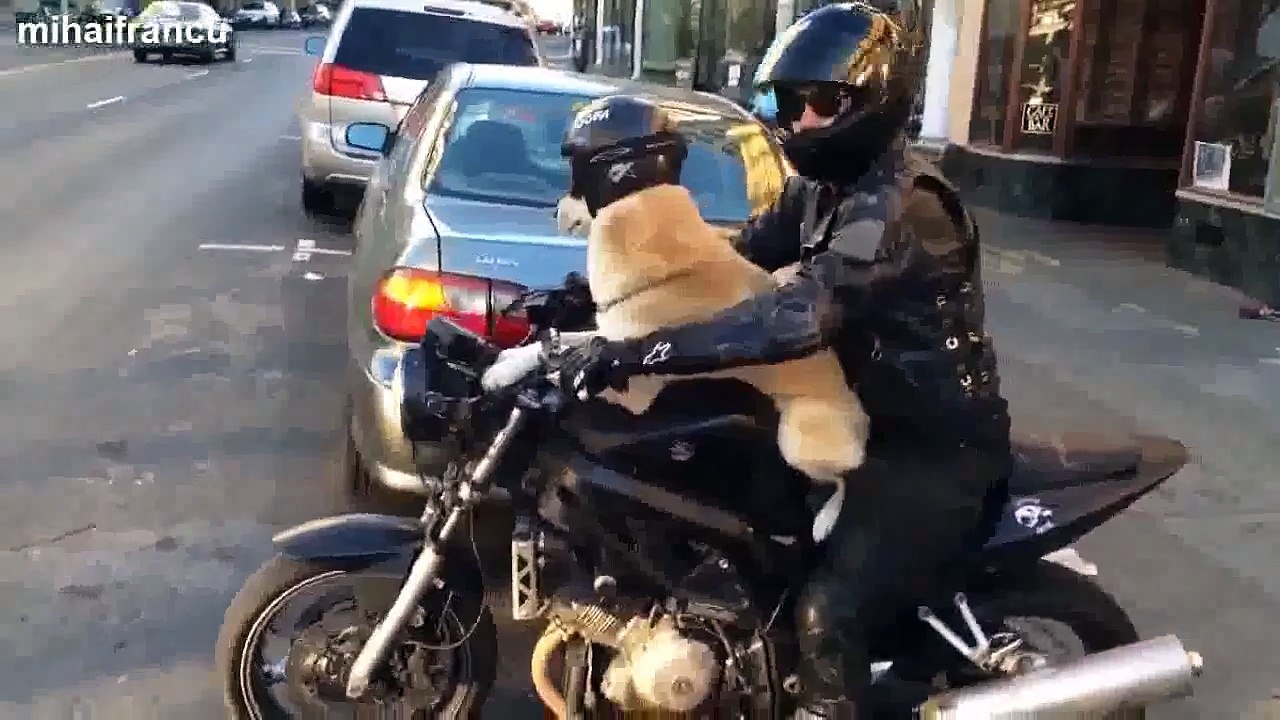 NEW Horrible Motorcycle Crashes Caught On Tape 2014 January Accidents Compilation