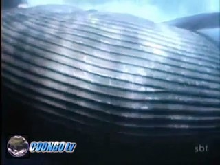 Caza de ballenas