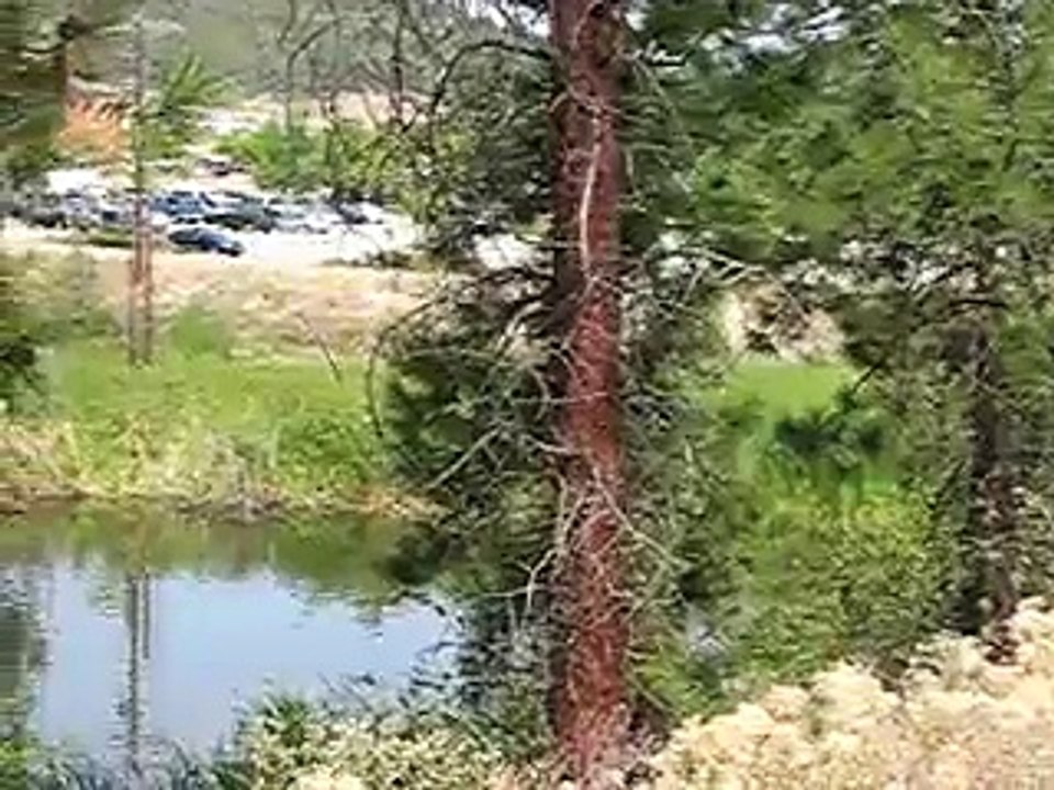 The Pond