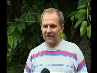 Перепелиная ферма - устройство и советы по разведению перепелов