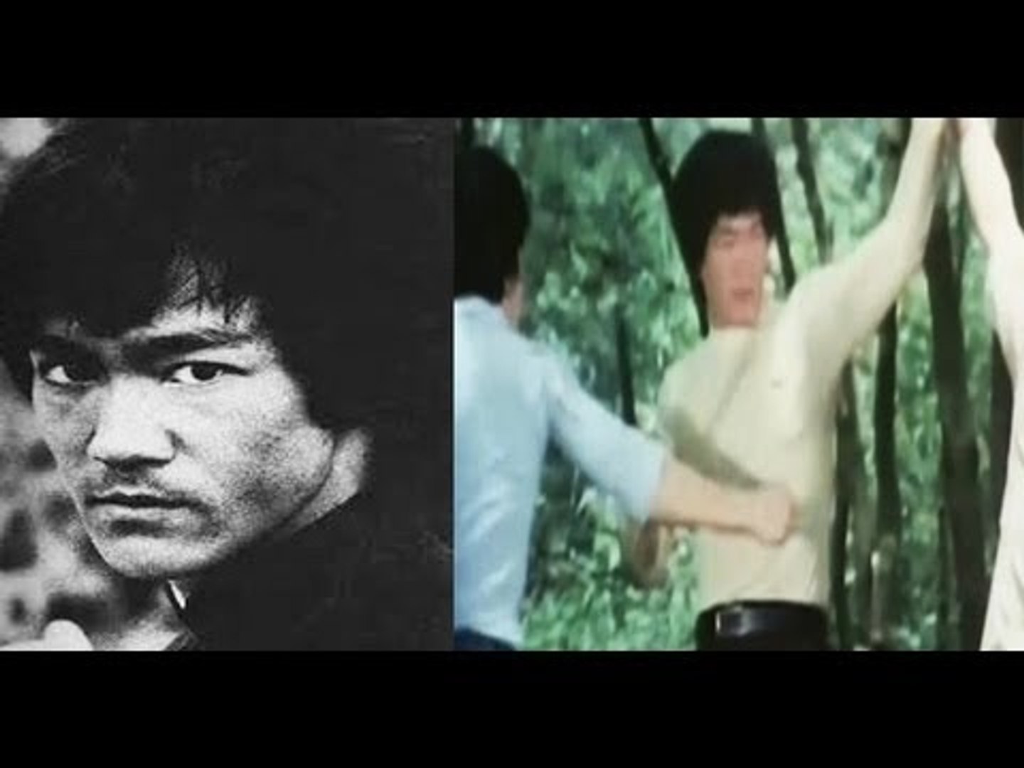 bruce lee video hindi