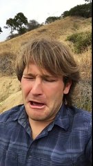 Gandalf and the Fellowship of Celebrities