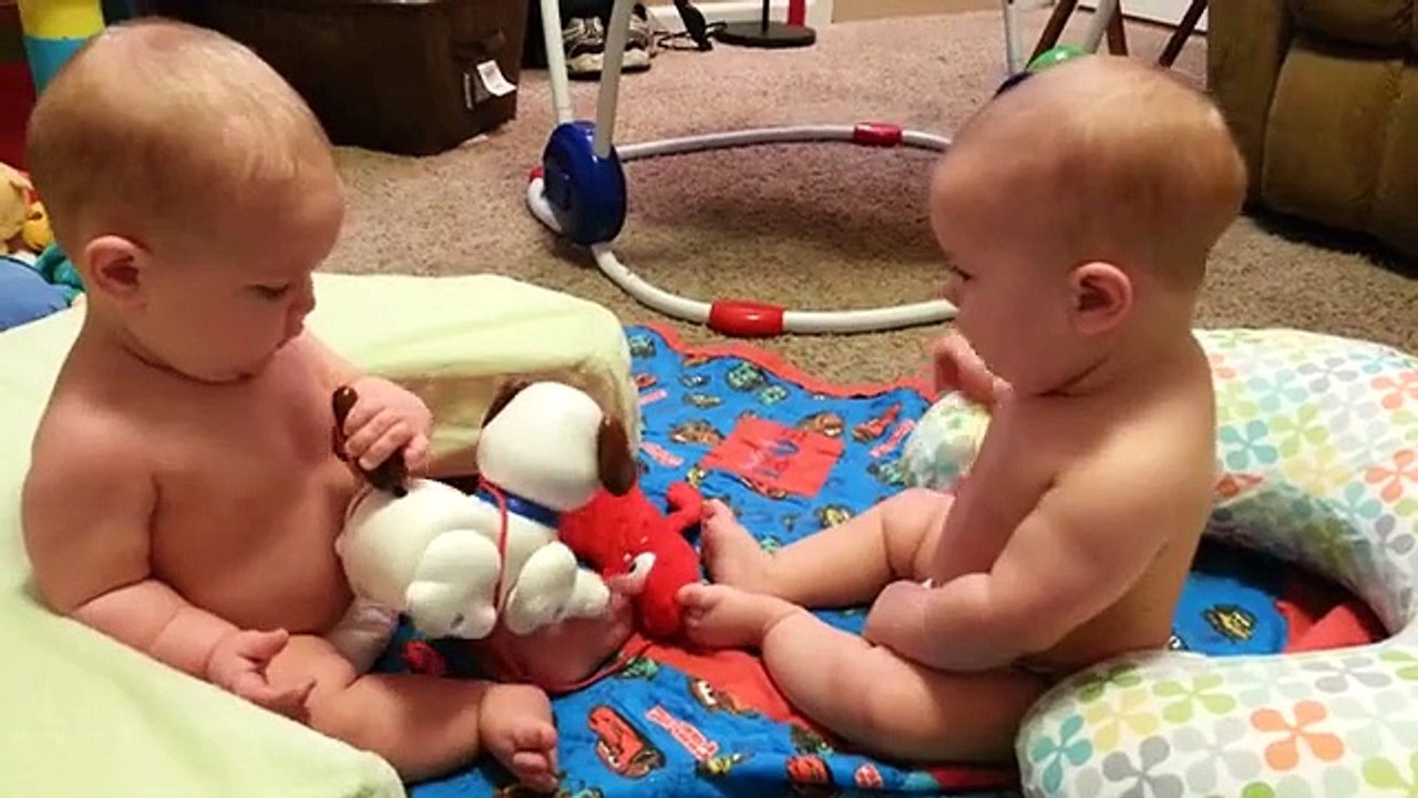 WOW Very Funny CUTEST BABY FİGHT  Twin Babies Fight for Toy Puppy