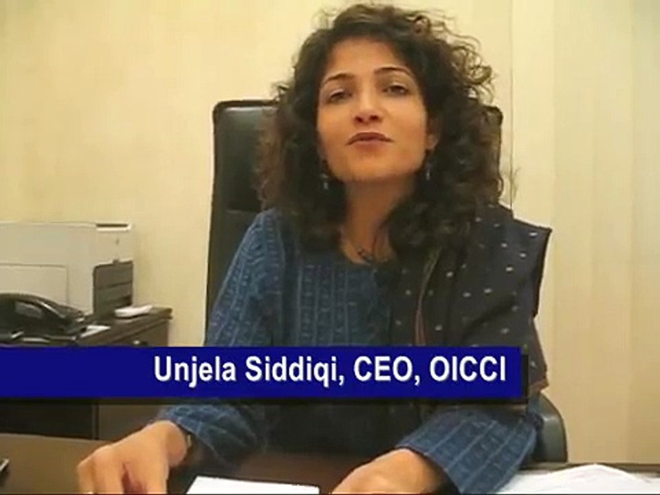 First Women CEO of A Business Association in Pakistan