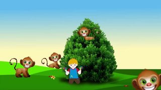 abcd alphabet learning garden pre school