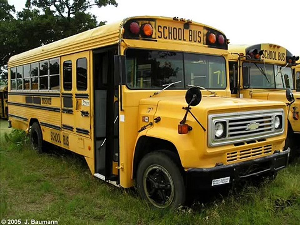 Wayne School Buses