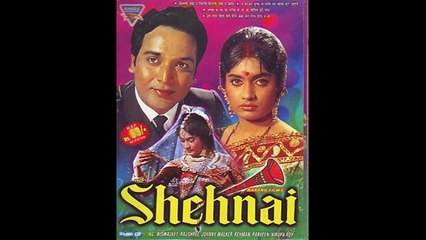 Na Jhatko Zulf Se Pani-cover song by me