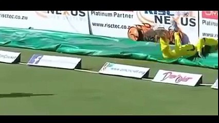 best catches in IPL 2015