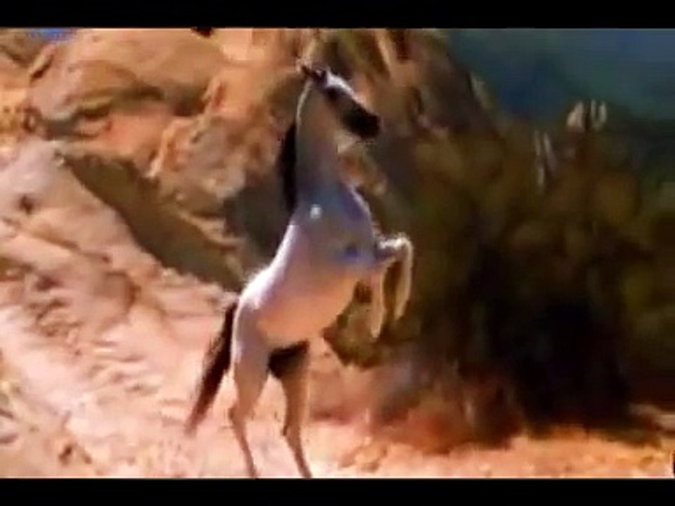 Caballos Salvajes